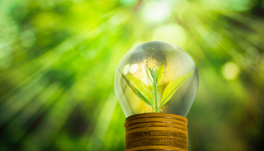 avashpandey's tweet photo. The new economic way-forward MUST put environment above profits. My take on opportunities #COVID19Pandemic brings to achieve green economy with equitable &amp; climate resilient development keeping nature at its very core. #GreenNewDeal #ProtectThePulse #SDGs 
https://t.co/Sv6qtTVleM https://t.co/oNEyeOHsnn