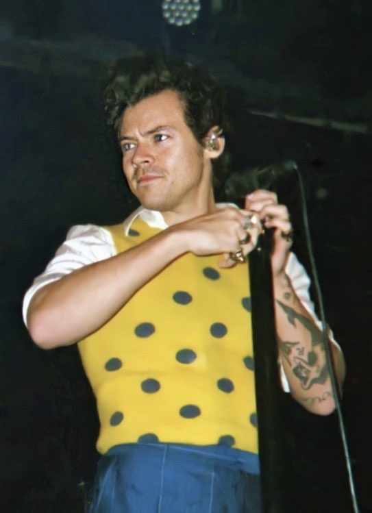 theharrylibrary's tweet image. 