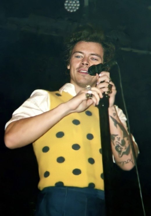 theharrylibrary's tweet image. 