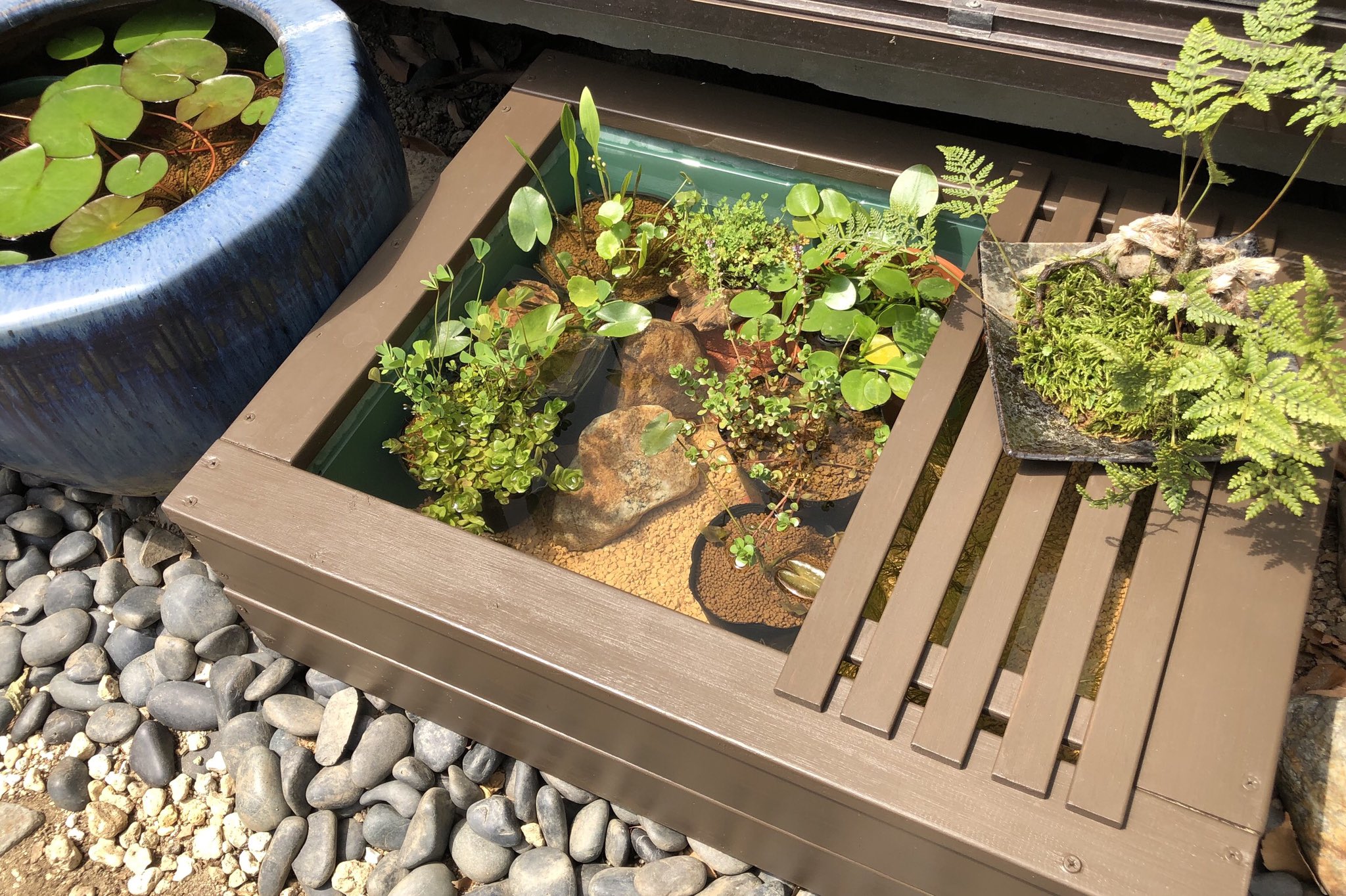 Haru じーちゃんが昔使ってたトロ舟に木枠を作って新しいビオトープ メダカが見やすくなった T Co A3p5sgiaiy Twitter
