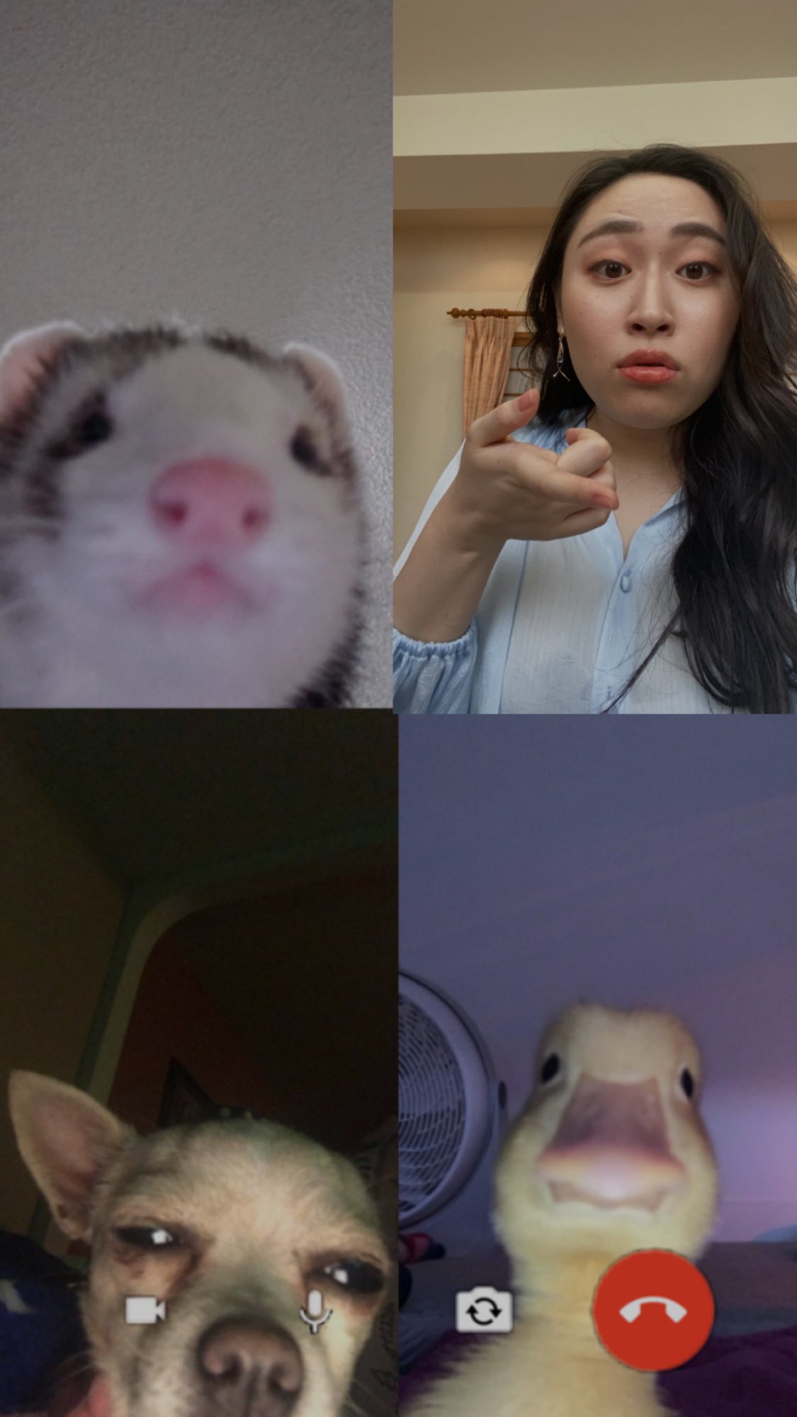 丸山礼 みんなお疲れ 状態いいね T Co 5hlyzvnxqy Twitter 丸山礼 みんなお疲れ 状態いいね T Co 5hlyzvnxqy Twitter