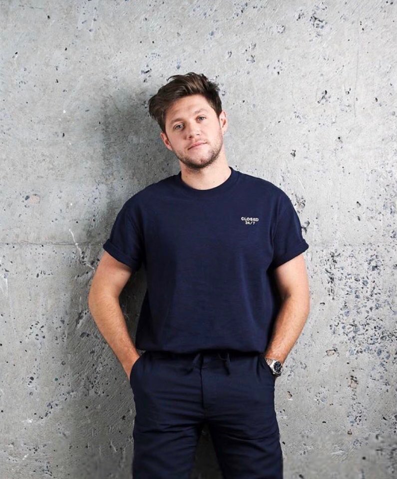 Louis Tomlinson as Niall Horan A thread