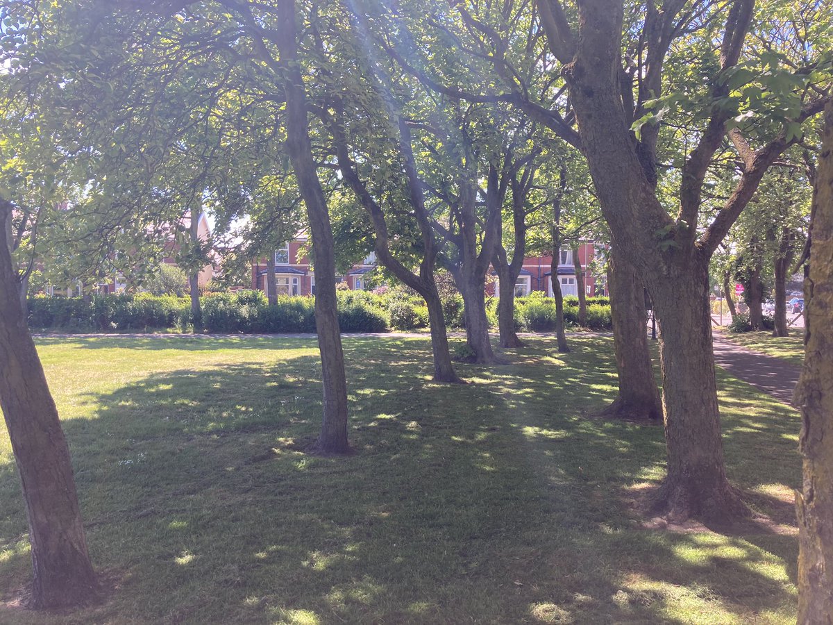 Tinyw773's tweet image. @LythamLifeStyle parks, side street’s and #HopeStreetPark
#lockdownleave
#DailyExercise 
#covid19uk