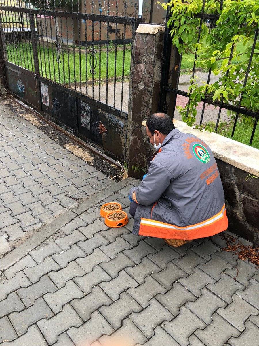 bingolbel's tweet photo. ☑️ Can dostlarımız için ilimizin farklı noktalarına kuru mama bırakmaya devam ediyoruz. 🐈 🐶 

✅ Kısıtlama döneminde yiyecek bulmakta zorlanan dilsiz dostlarımız için kapılarınızın önüne bir kap su bir kap mama bırakmayı ihmal etmeyin🙏 
#DilsizDostlarEminEllerde https://t.co/1r5HohfQhh