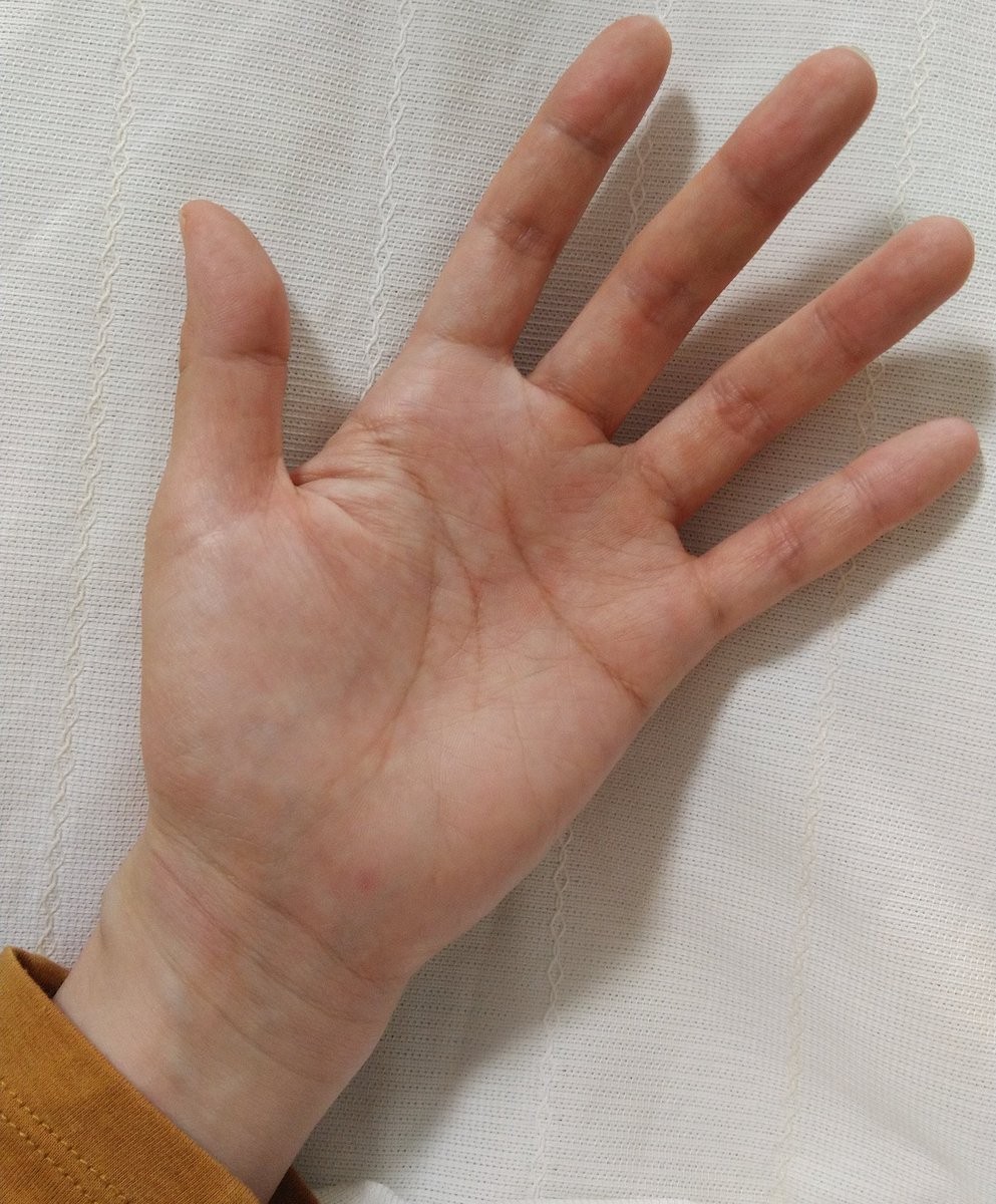 石井あつこ メジャーを持ち歩こうと思いながら よく車に忘れてしまうので レールの寸法は指で測ることが多い 高さが爪先から人差し指の第二関節ちょうどなら6キロ 付け根の皺までなら10キロレール 磨耗とかであやしいときは 必殺トワイライトゾーン