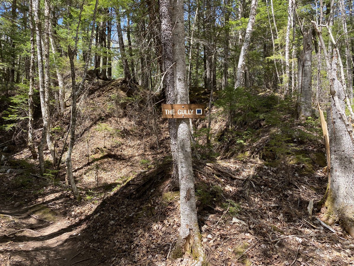 ChrisCusack tweet media