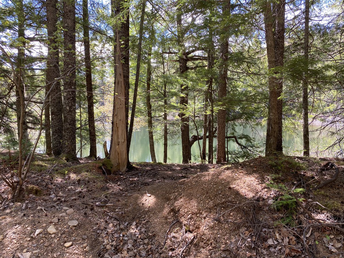 ChrisCusack tweet media