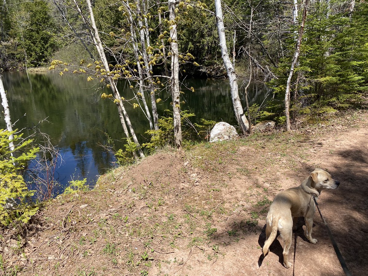 ChrisCusack tweet media