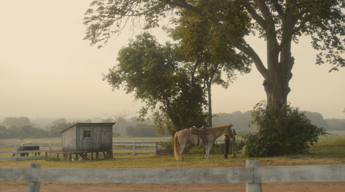 You know what& #39;s next.  #renewannewithane