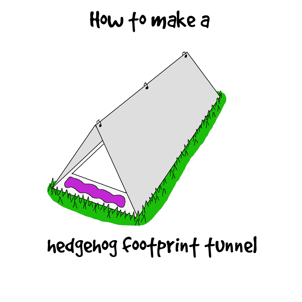 Here's our guide to making a hedgehog footprint tunnel at home... (thread)  @HogFriendly  @derbyunistudent  @derby_parks  @PTES  @hedgehogsociety