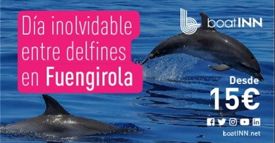 boatINN_'s tweet photo. 🇪🇸 Día inolvidable entre delfines en Fuengirola 🐬
🇬🇧 An unforgettable day among dolphins in Fuengirola🐬
🇵🇹 Dia inesquecível entre golfinhos em Fuengirola 🐬
#boatINN #notequedesinverano #delfines
https://t.co/PYykgn22ve https://t.co/nIjTOKeZKs