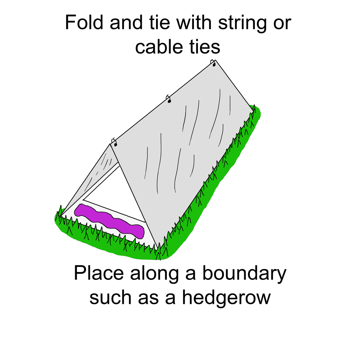 Step 4: Tie with cable ties or string and place along a boundary in your garden (a hedgerow or fence).