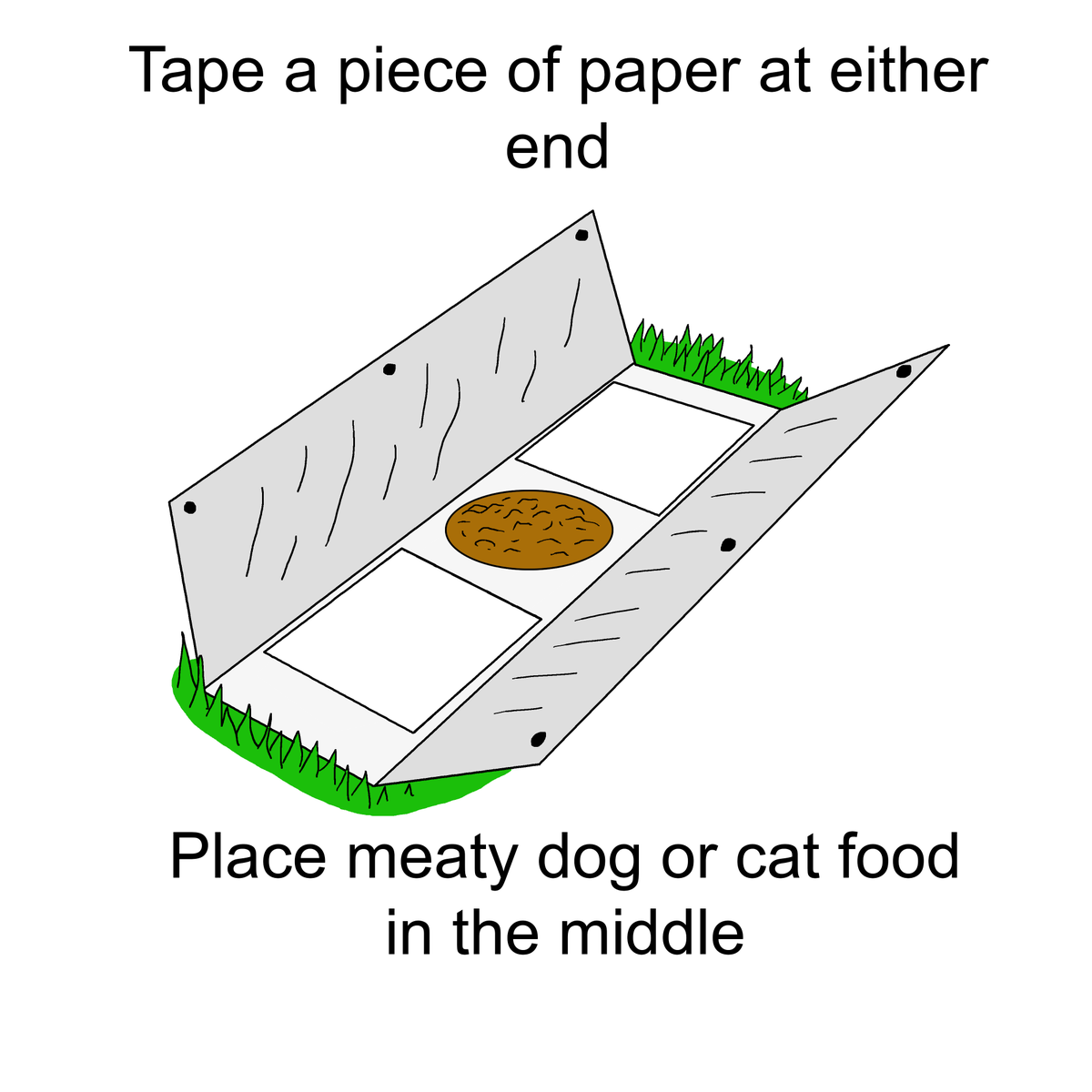 Step 2: Tape down a piece of paper at either end to capture any animal tracks. Place a bowl of meaty dog or cat food in the middle.