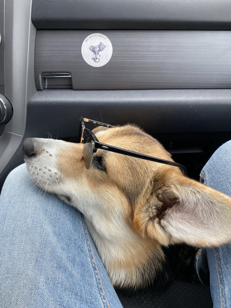 MatveyevIgor tweet picture