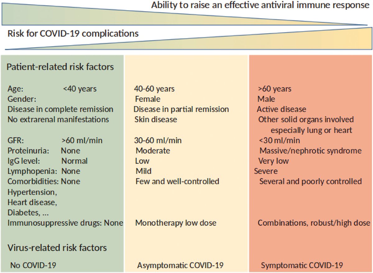 NDTsocial's tweet photo. ⚡️NEW #coronavirus publication in #NDT⚡️:
Recommendations for the management of patients with immune-mediated #kidneydisease during the #Covid_19  pandemic👉🔓https://t.co/I1IdROLRyJ👈
on behalf of the Immunonephrology Working Group of @ERAEDTA @hjanders_hans @AnnetteBruchfe1 https://t.co/vFhLG9ITpr