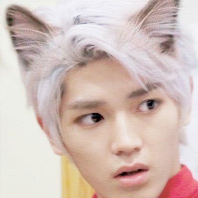 reason 2: taeyong is a boy who happens to also be a cat... cashew is a cat who also happens to be a boy...