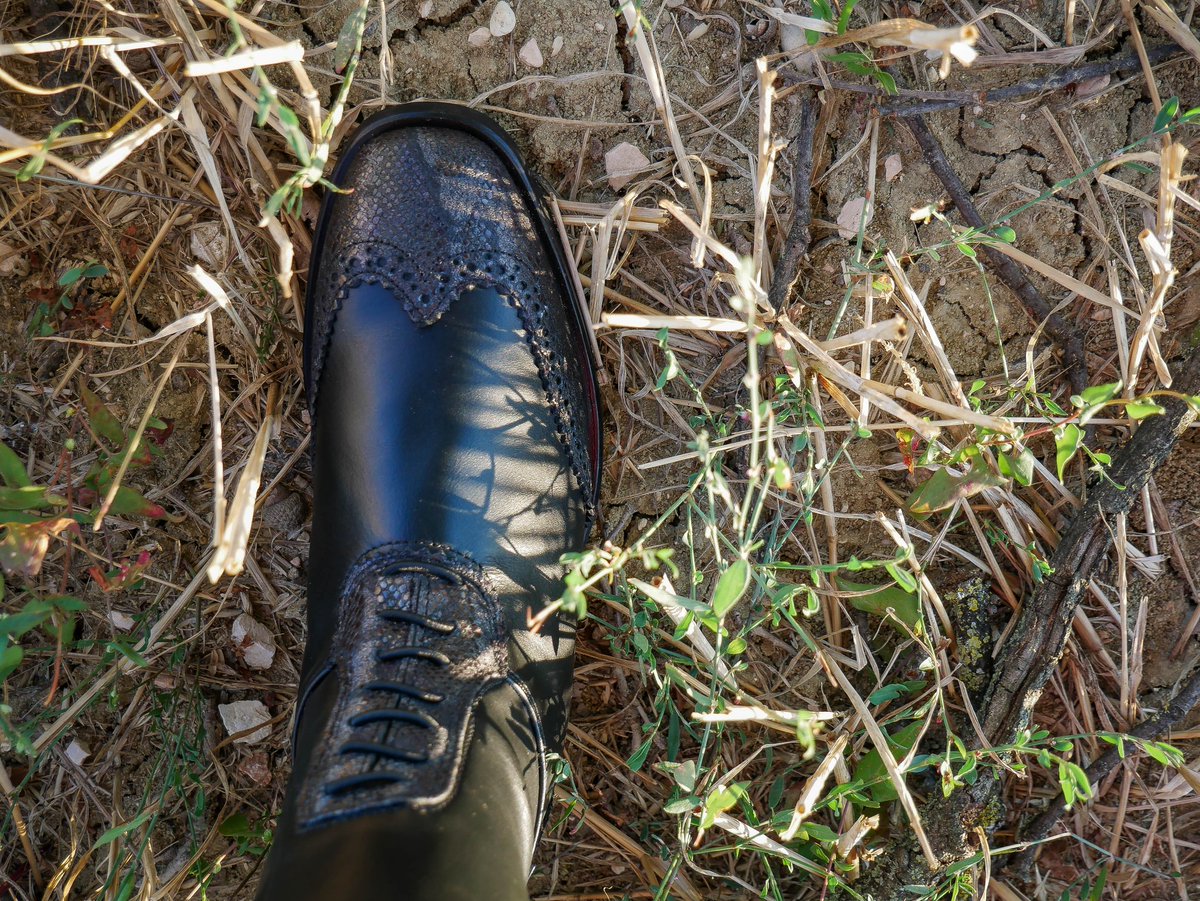 DueBoots's tweet photo. Retró Africhella Black #tobeevolution
Black full grain calfskin embraced by Africhella black, which acts as a luminous frame for this dark-night colored boot.
#ddueboots #ridingboots #riding #madeinitaly #craftmanship #elegance #customboots #customizeyours #equitation #equine https://t.co/VSuQMcdL3n