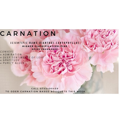 SintaSintamei's tweet image. #flowertips
#flowerrecipe
Call 0745490459 to order your bouquet