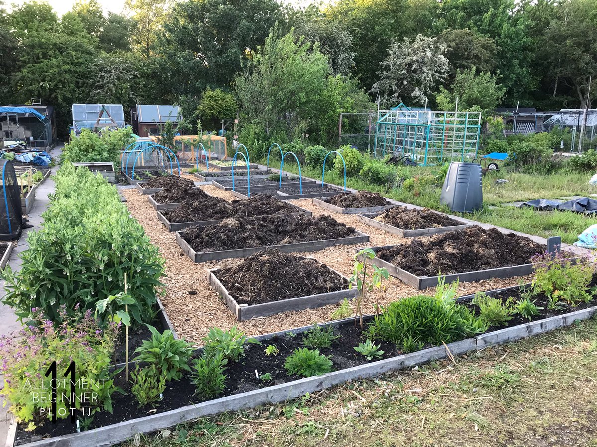 AllotmentPlot11's tweet photo. https://t.co/DHbJYV2TuN
#selfcare is so important folks! Especially at the moment. ❤️
I shared more on my Facebook. ☺️
#Allotment #Allotmentlife #FamilyPlot #love #gyo #greenhouse #shed #pottingshed #Plot11 #AllotmentBeginner #IndianRunnerDucks #Ducks #mentalhealth #uplift https://t.co/pHNw3CrP8X
