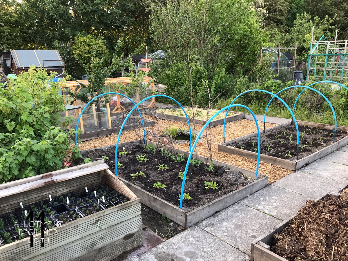 AllotmentPlot11's tweet photo. https://t.co/DHbJYV2TuN
#selfcare is so important folks! Especially at the moment. ❤️
I shared more on my Facebook. ☺️
#Allotment #Allotmentlife #FamilyPlot #love #gyo #greenhouse #shed #pottingshed #Plot11 #AllotmentBeginner #IndianRunnerDucks #Ducks #mentalhealth #uplift https://t.co/pHNw3CrP8X