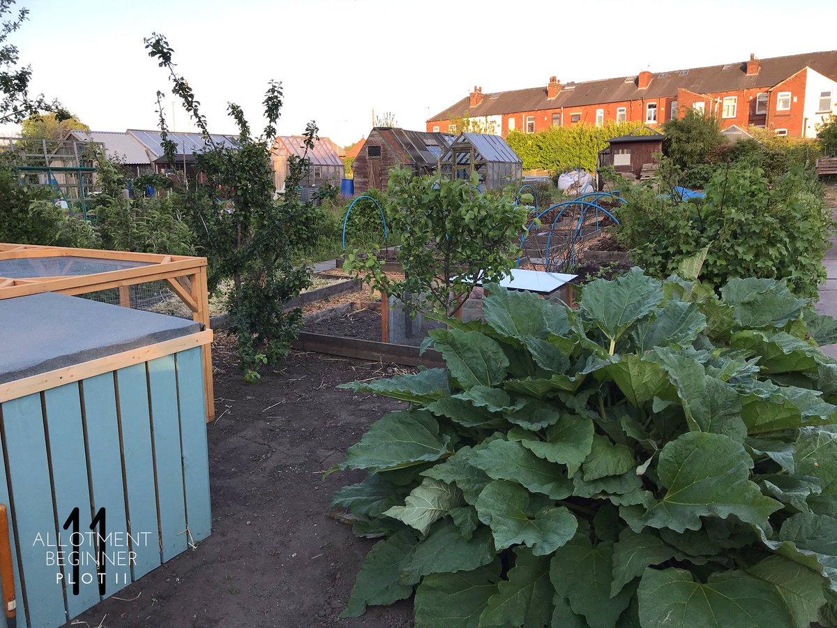 AllotmentPlot11's tweet photo. https://t.co/DHbJYV2TuN
#selfcare is so important folks! Especially at the moment. ❤️
I shared more on my Facebook. ☺️
#Allotment #Allotmentlife #FamilyPlot #love #gyo #greenhouse #shed #pottingshed #Plot11 #AllotmentBeginner #IndianRunnerDucks #Ducks #mentalhealth #uplift https://t.co/pHNw3CrP8X