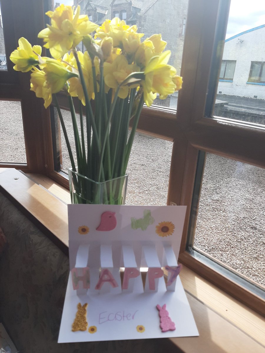 Lockdown life in 7 pictures, Day 2

No people, no words, just things that are keeping me happy. I was nominated by <a href="/rjcook15/">Rebecca Cook 🇬🇧</a> I'll nominate someone new each day. 
Today I nominate <a href="/anneandrew61/">Anne Andrew</a> if she wants to