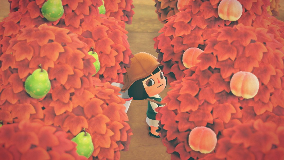 whatchaseyy's tweet photo. Hi :) #AnimalCrossing #ACNH #NintendoSwitch https://t.co/ra1E8Gevvf