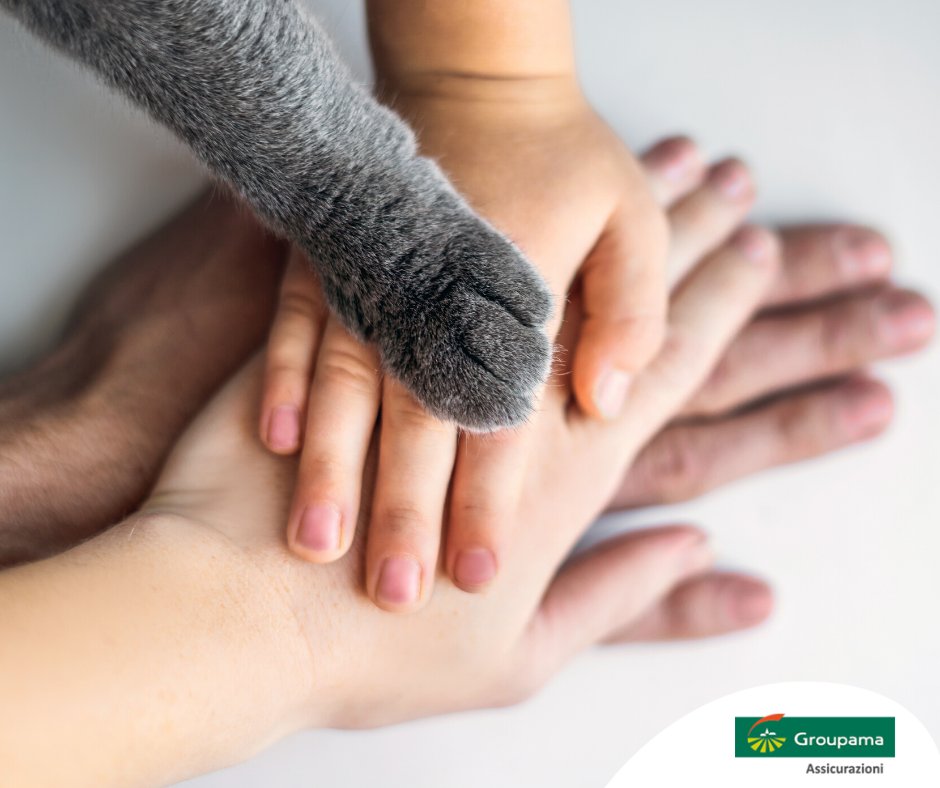 GroupamaIT's tweet photo. Chi ama costruisce protezione e con #MyProtection puoi farlo come vuoi! Un’assicurazione modulare e personalizzata che prende forma in base alle tue reali necessità. Inizia subito l’analisi dei tuoi bisogni con #GroupamaAssicurazioni👇
https://t.co/chdrfMjlOg https://t.co/kp1Yb1asGa