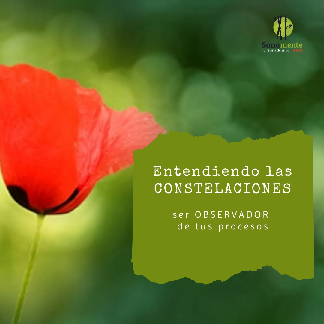 sanamentenet's tweet photo. La identificación e implicación de las constelaciones requieren ver más allá de una simple terapia. @Satyarthi  #constelacionesfamiliares  #autocrecimiento #SanamenteConElDrHuerta #followme #sanamente  
https://t.co/W2lBQySGuT https://t.co/4XlkKnmPT7