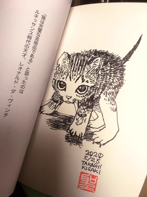 まだ恐いってことを知らない仔猫 