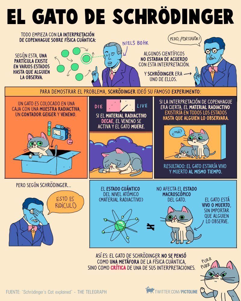 Enriquecer Neuropatía Plano experimento del gato de schrödinger ...