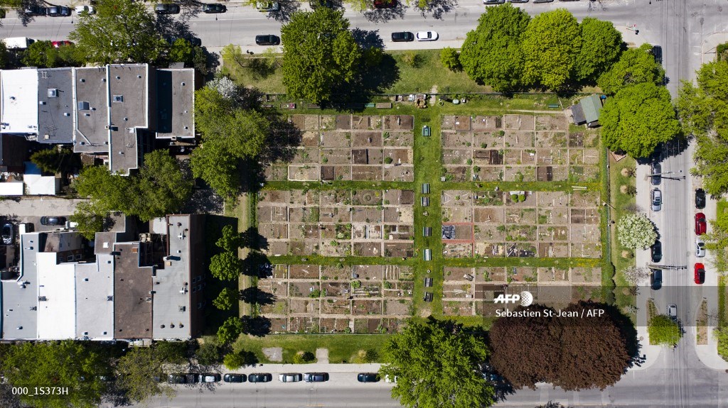 #Canada As Montreal's community gardens reopen, fans feel relief #AFP

u.afp.com/3Q6k