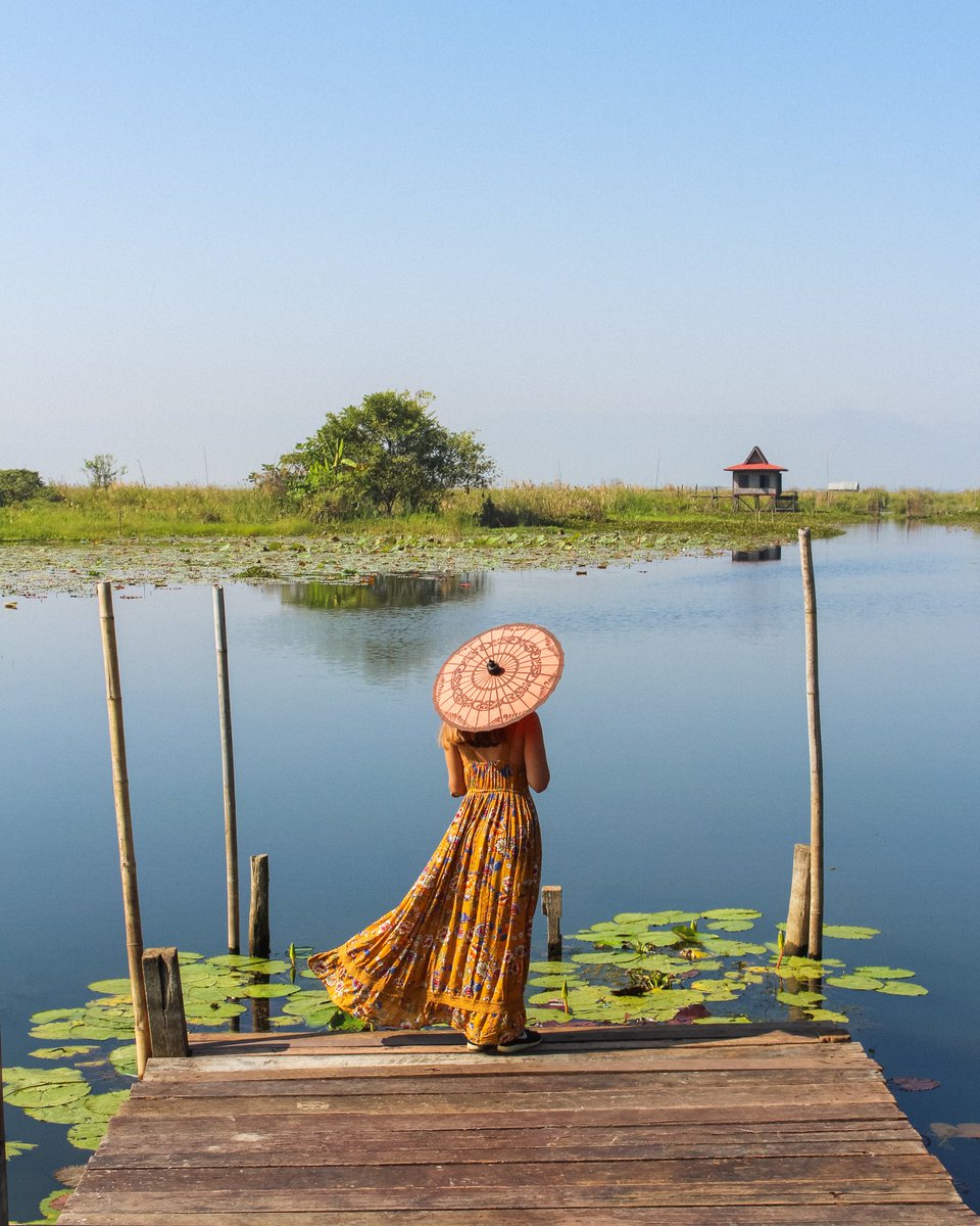Serenity_Inle's tweet photo. The hardest test in life is having the patience to wait for the right moment. (~unknown~)

#inlenostalgia
.
.
.
📸: @sofiaferreirinho
.
.
.
.
.
#tillwemeetagain #staypositive💯  #goodvibesonly #myanmar🇲🇲 #InleLake #soulhealing #postcovidhope #inthistogether #patience
#waiting https://t.co/HznU7Bzuge