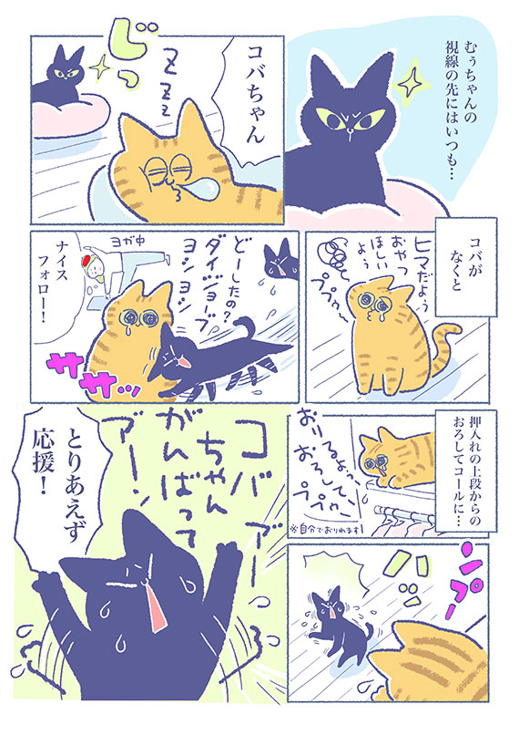 「24時間コバちゃん思い!」
毎回押入れの下で「感動の再会シーン」が
繰り広げられています(*'∀`*)

(吉濱あさこさんの「イチャ猫」)更新!2枚目はコチラ⇒https://t.co/RBX07IJeWx

#イチャ猫 