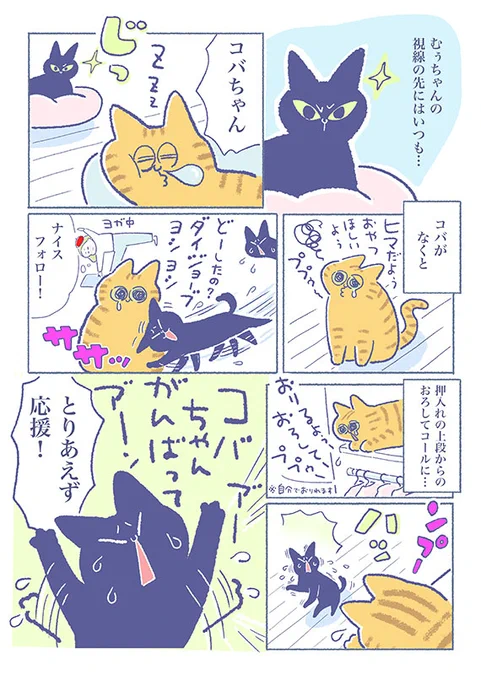「24時間コバちゃん思い!」
毎回押入れの下で「感動の再会シーン」が
繰り広げられています(*'∀`*)

(吉濱あさこさんの「イチャ猫」)更新!2枚目はコチラ⇒https://t.co/RBX07IJeWx

#イチャ猫 
