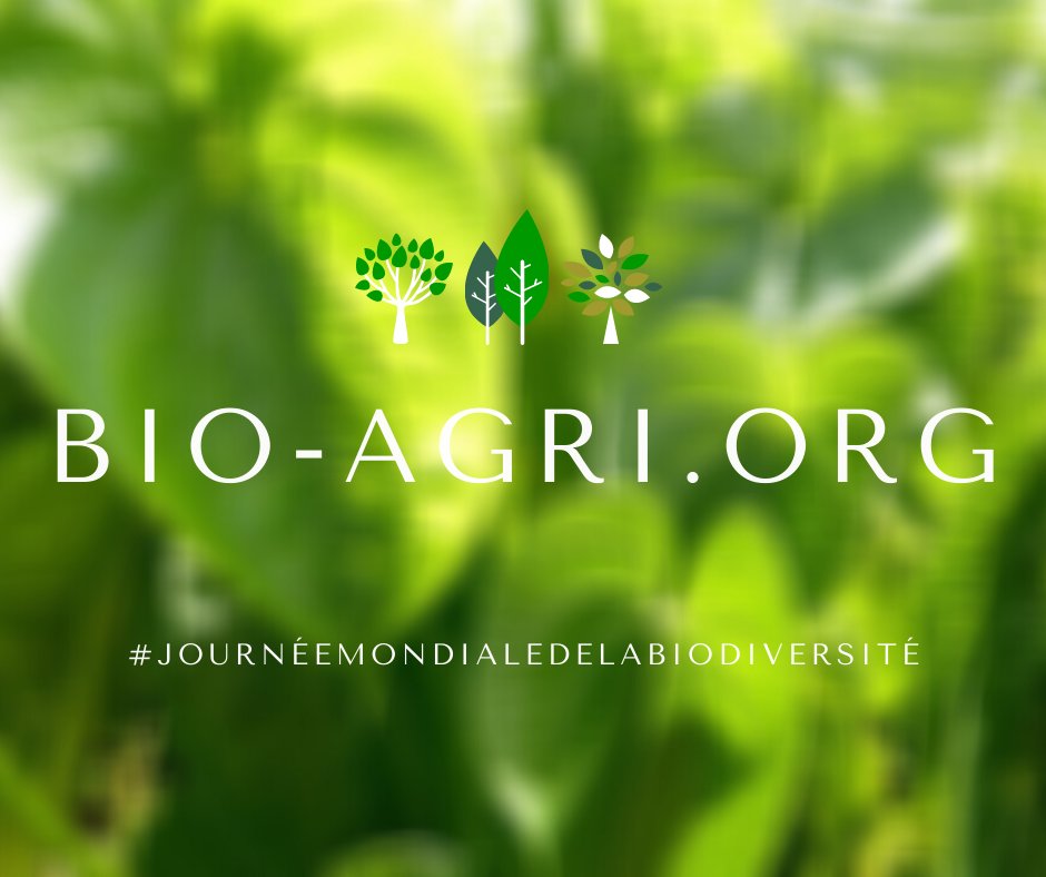 BioAgriOI's tweet photo. #JournéeMondialedelaBiodiversité : Découvrez les actions du @Cirad Réunion pour la protection de notre #Biodiversité via le projet #EPIBIO Océan Indien sur notre site #BioAgri ➡️ https://t.co/YvGvYQZcXj
Protégeons notre biodiversité 🙏 https://t.co/iV4qbij3Ho