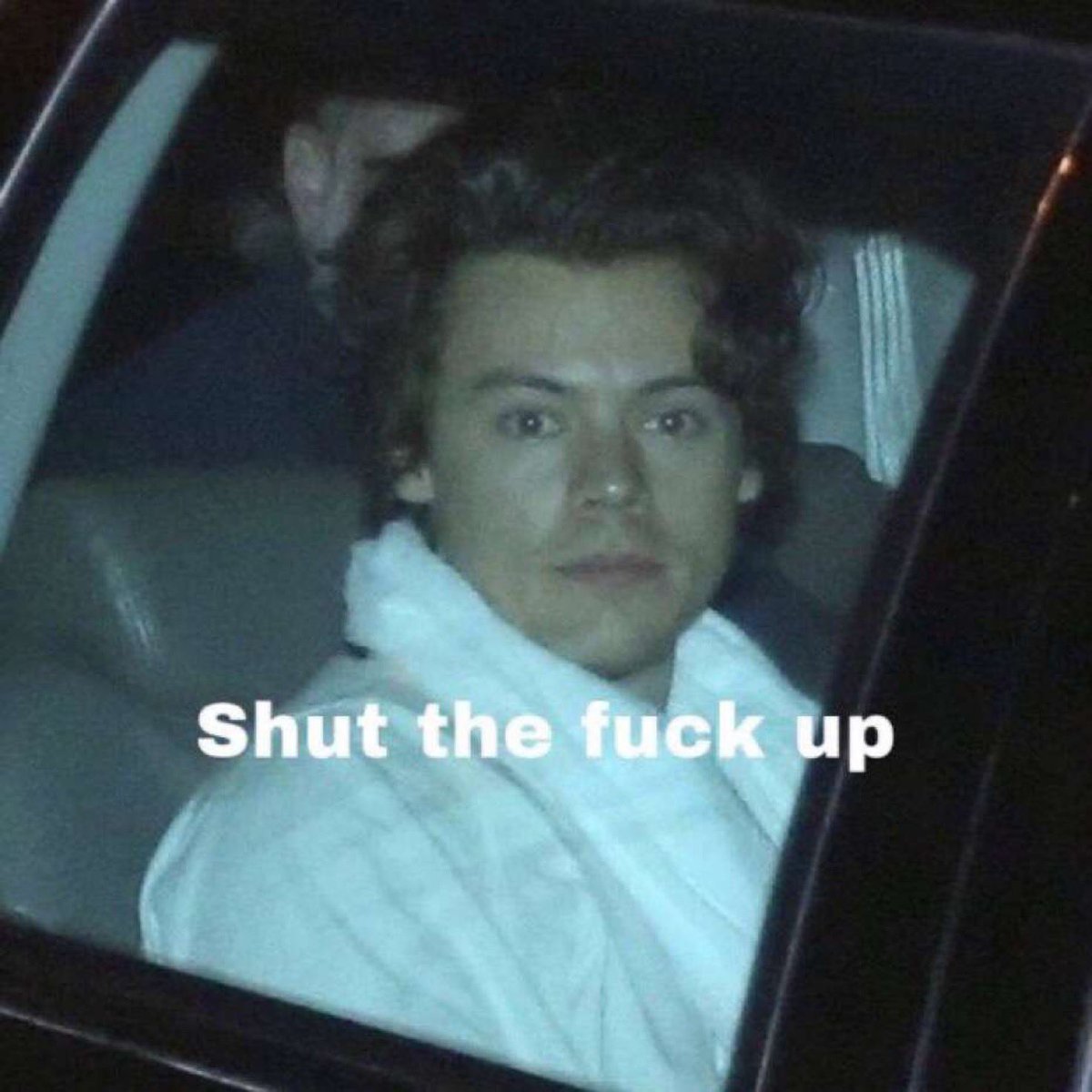 Part 2 of harry styles memes ALL CREDS TO  @hazzaswtrmelon give her a follow;)