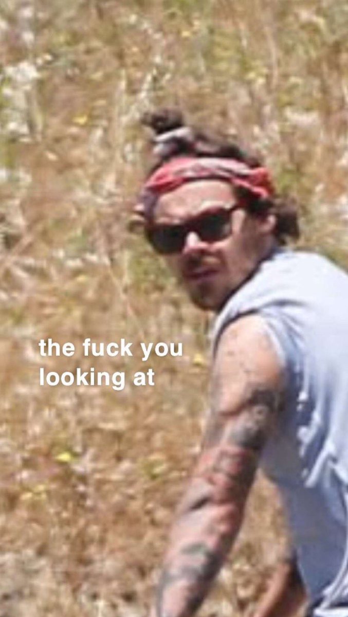 Part 2 of harry styles memes ALL CREDS TO  @hazzaswtrmelon give her a follow;)