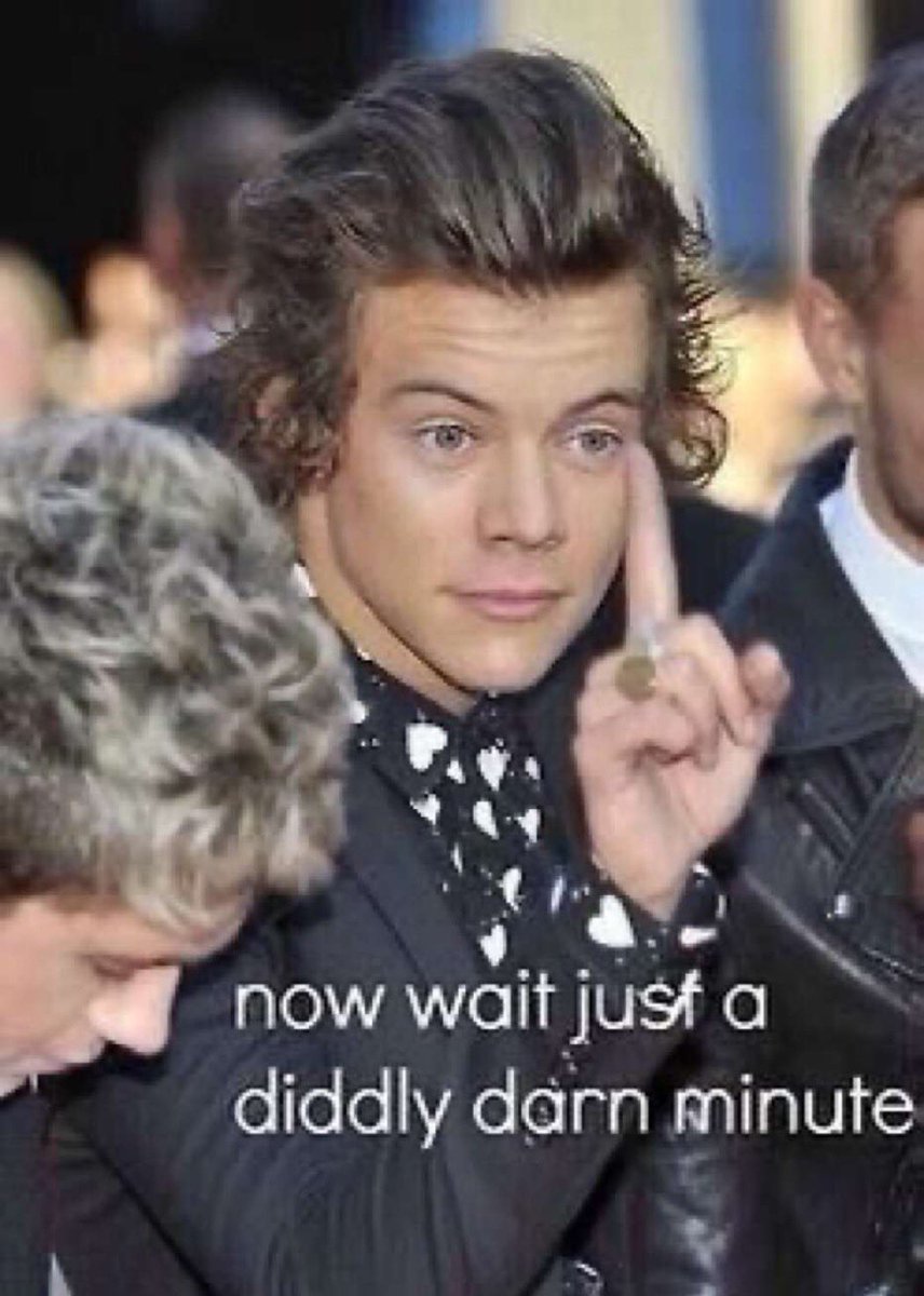 Part 2 of harry styles memes ALL CREDS TO  @hazzaswtrmelon give her a follow;)