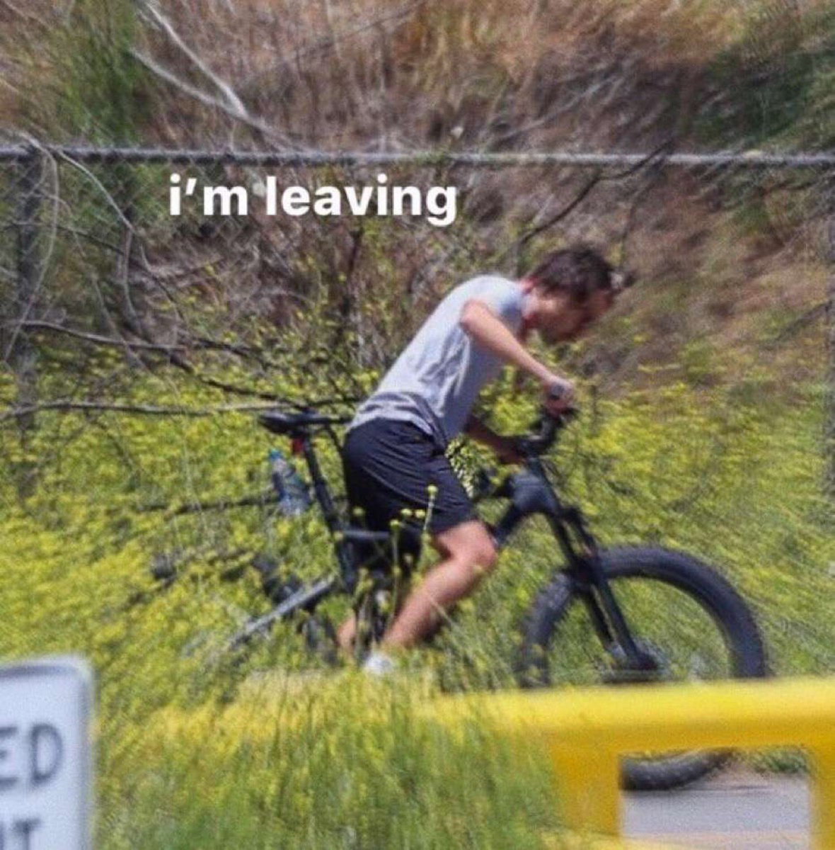 Part 2 of harry styles memes ALL CREDS TO  @hazzaswtrmelon give her a follow;)