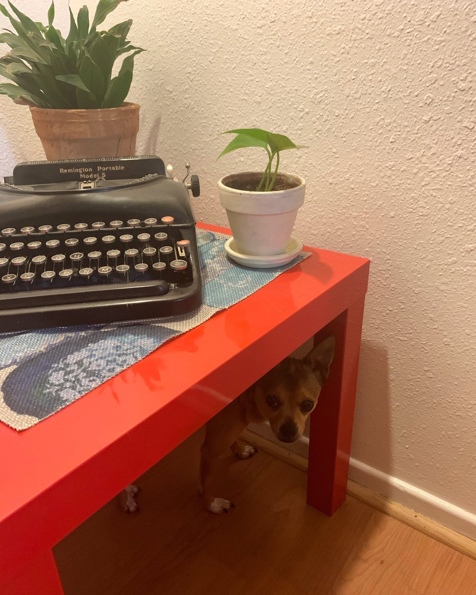 FreenieTheDog's tweet photo. I’m working under the table lol (jk I’m hiding from fireworks ☹️) https://t.co/ljJnm6IiF0