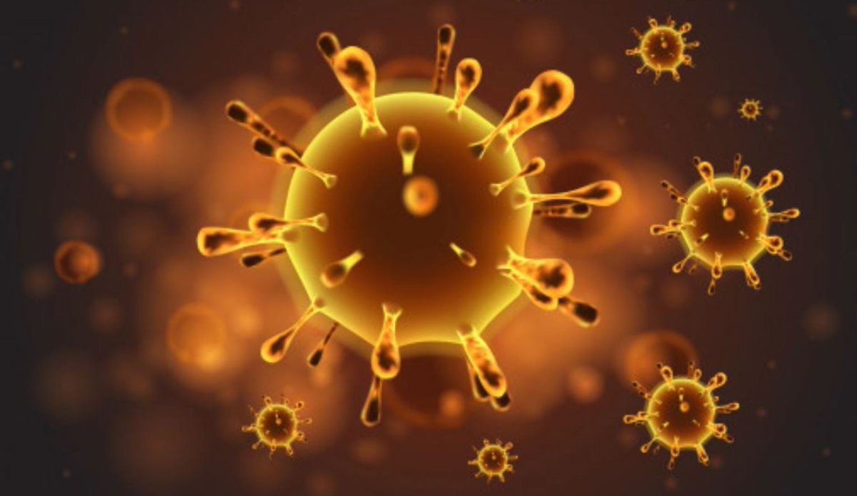 Siete lecciones para lidiar con los datos de una pandemia. <a href="/ElPeriodista/">El Periodista</a> <a href="/kpeiro/">Karma Peiró</a> <a href="/PolarBearby/">Ricardo Baeza-Yates</a> ow.ly/pdaX50zPa2W