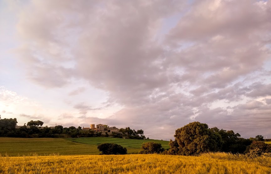 Turisme La Segarra tweet media