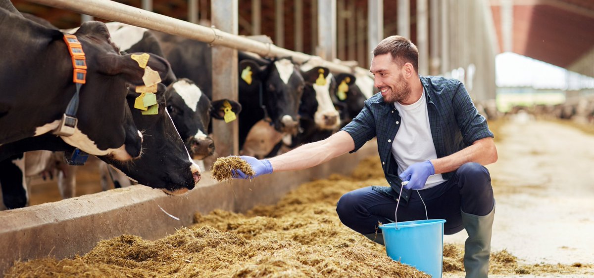 Vous avez manqué la première newsletter du Rendez-vous Tech&amp;Bio ? Elle est consultable ici 👉public.message-business.com/emailing/52552… Le Pôle Alimentation du salon a été révélé dans cette newsletter. Pour en savoir + sur les ateliers techniques de ce pôle, c'est par là 👉tech-n-bio.com/fr/les-rendez-…