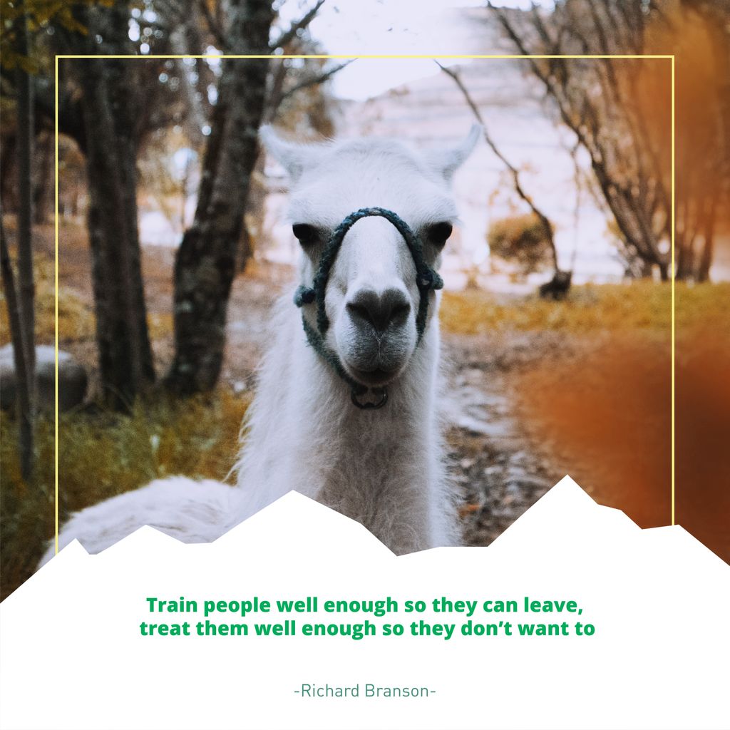 Trainingen en opleidingen dragen bij tot meer productiviteit en kwaliteit. 🙌🏻Daarom is het belangrijk om te investeren in je medewerkers. Een geïnspireerd, gepassioneerd team bestaat uit betrokken ambassadeurs die de bedrijfsmissie naar buiten draagt. 💪🏻#LAMAWisdom