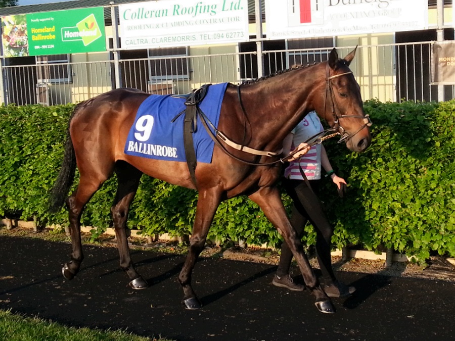 jeremysykes60's tweet photo. This day 2 years ago, ROBIN DE CARLOW made an impressive start to her eight winning races *so far* when landing the Irish Stallion Farms EBF Mares Flat Race @BallinrobeRaces #PrincessRobin https://t.co/RiuFpSnOgs