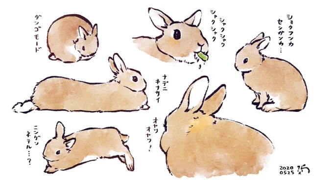うちのうさぎさん(絵と日本語吹替:かいぬし) 