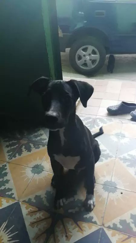 StePHhaniia's tweet photo. Bb Tayson.. Te extraño https://t.co/hMTDM4CFuO