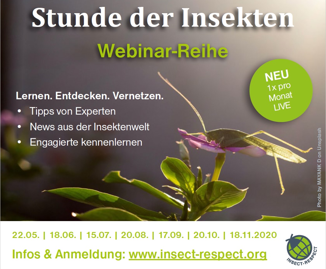 Global_Nature_F's tweet photo. #InsectRespect is currently hosting webinars in the "Hour of Insects" series that is as informative as it is entertaining.
The next webinar will take place on 18 JUNE!
https://t.co/dQd4LoLoh8
🐝🐛🦋🐞🐜🦟🐜🐞🦋🐝🦗🐛🦗🦟🐞🦋 https://t.co/FbzZLE5iwR