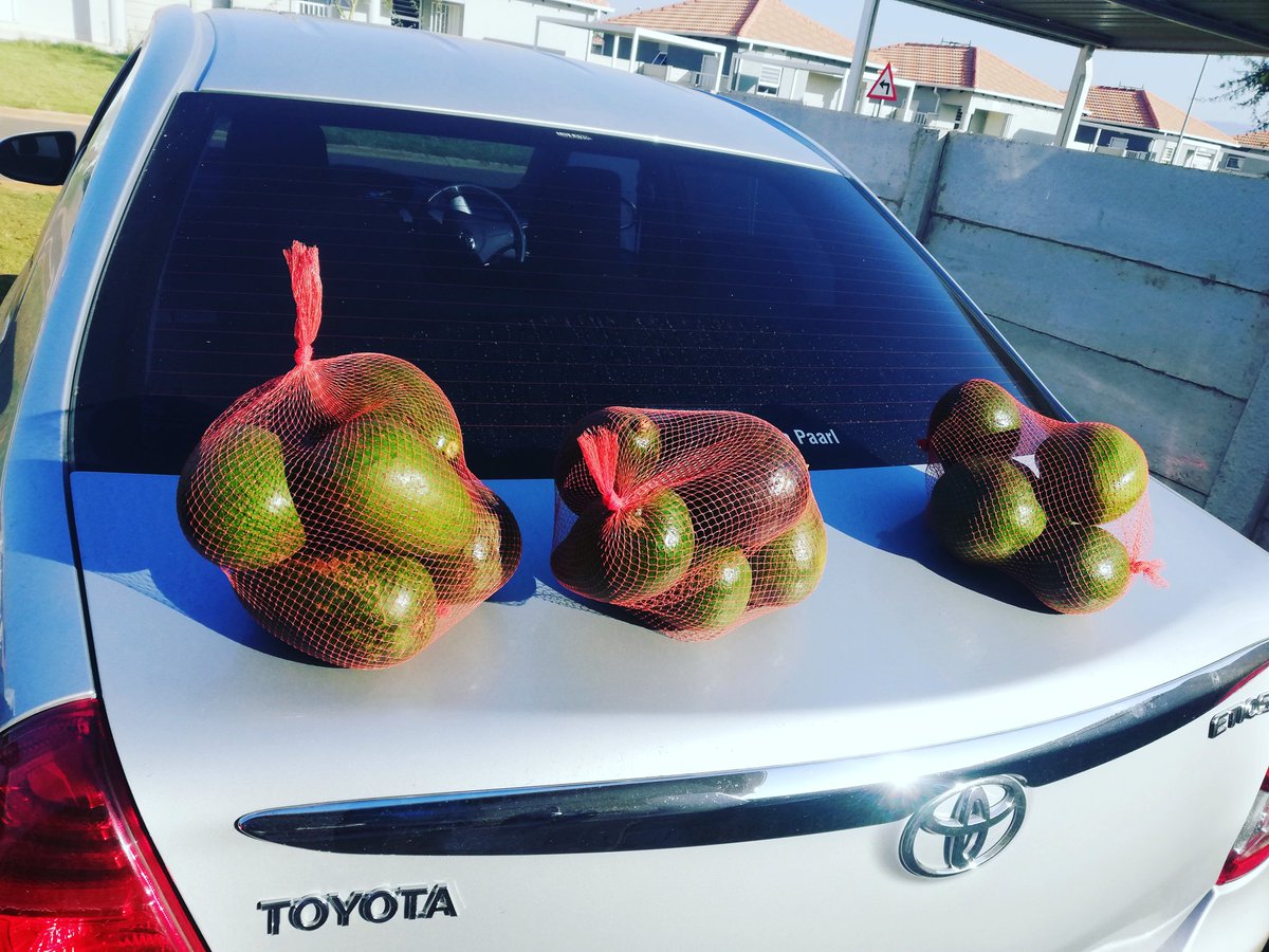 Candrycan2's tweet photo. Avocado's 50 per pack,
Share please https://t.co/copsdcz81B